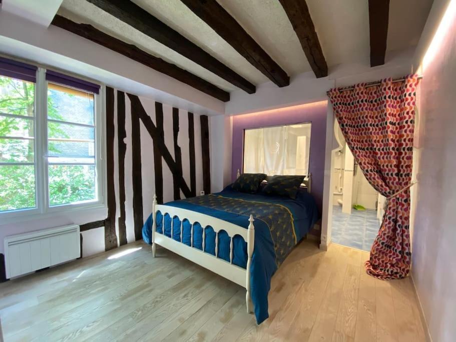 Charmant Appartement - Centre Cite Plantagenet!!! ルマン エクステリア 写真